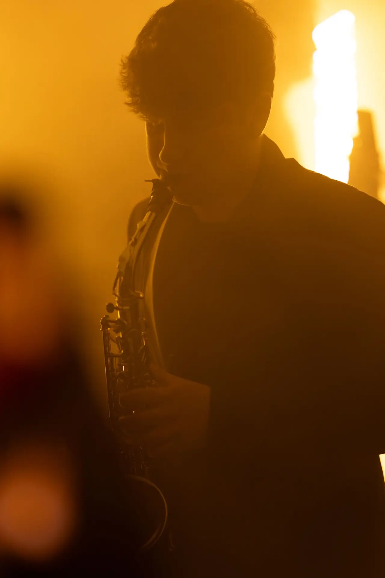 Mid-phrase in amber light at a vernissage in Vienna